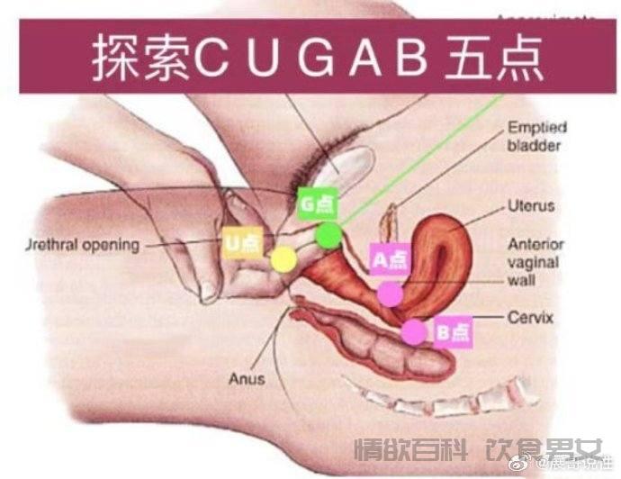 性生活无高潮容易招来盆腔炎?女性长期得不到性高潮会怎样-第3张图片-情欲百科 性生活无高潮容易招来盆腔炎?女性长期得不到性高潮会怎样-第3张图片-情欲百科